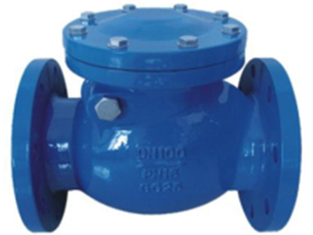 Swing Check Valve