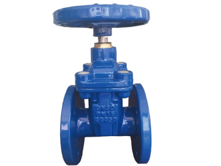 BS5163 RESILIENT SEATED GATE VALVE